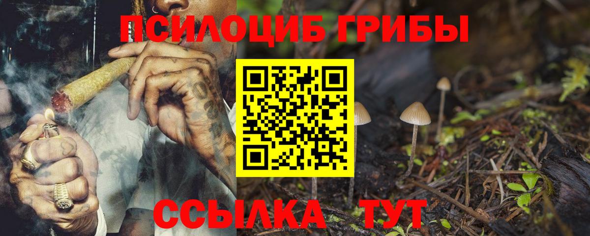 Геленджик  Псилоцибиновые грибы Magic Shrooms  Вход с VPN 